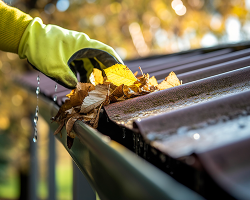 Areas We Are Cover_img